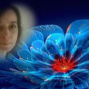 ���� �������, �����������, 51 ��� - ��������� 26 ������� 2017 � ������ ���� ����������