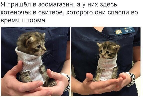       - 1  2018  02:48