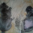 ���� �������, �����-���������, 45 ��� - ��������� 8 ����� 2018 � ������ ������ ��������