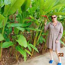 ���� ��������, �����������, 50 ��� - ��������� 4 ����� 2018