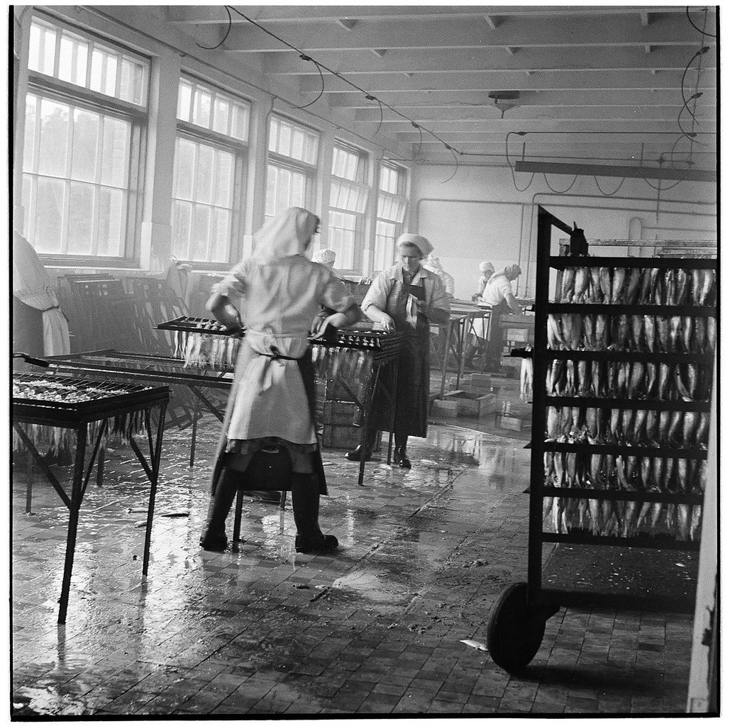 ""    . 1960- - 5
