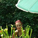 ���� Raisa, ������ - ��������� 3 ���� 2018 � ������ ������ ��������