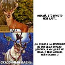 ���� ��������, �������, 56 ��� - ��������� 24 ������ 2018 � ������ ���� ����������
