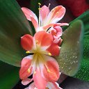 ���� �����, �����-���������, 44 ���� - ��������� 14 ��� 2018 � ������ �������� ����� �������.�