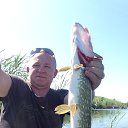���� ������, ���������, 54 ���� - ��������� 27 ������ 2018 � ������ ���� ����������