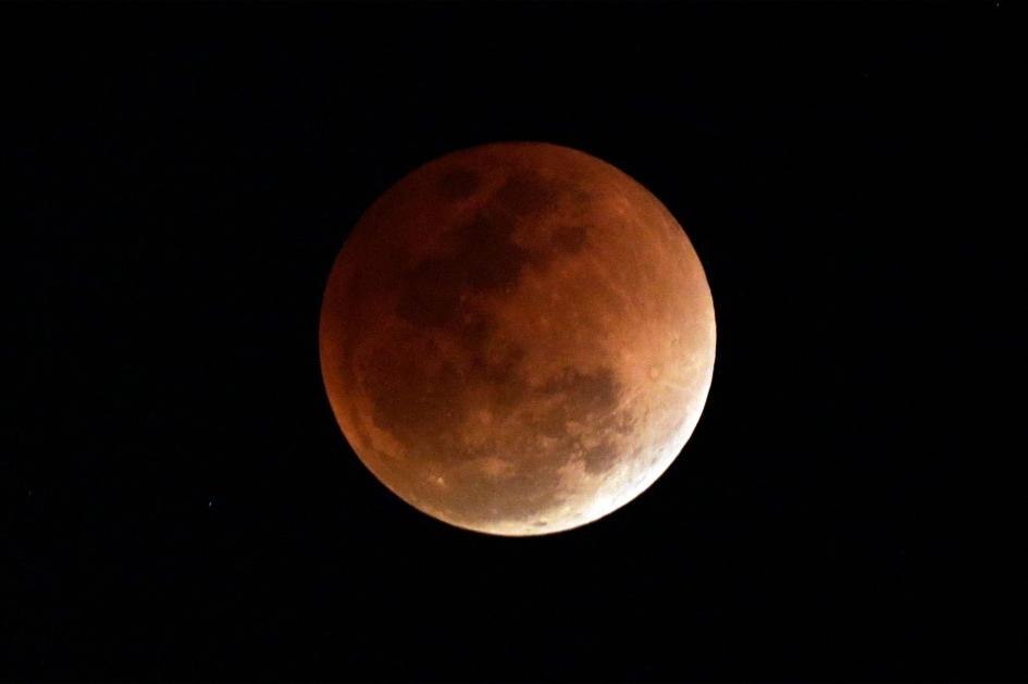          31.01.2018 - 4