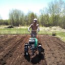 2017, ����, ���, ����,����, ������ ���