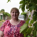 ���� ����, ��������-������������, 58 ��� - ��������� 26 ���� 2018