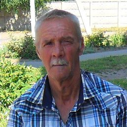 �����, ����, 65 ���