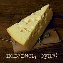 ���� �����, ������, 45 ��� - ��������� 26 ������ 2018 � ������ ������ ��������