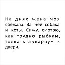 ���� �����, ������ - ��������� 7 ���� 2018 � ������ ������ ��������