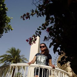 ���� ����, �����, 38 ��� - ��������� 5 ���� 2018