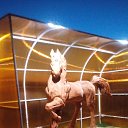 ���� �����, �������, 50 ��� - ��������� 9 ��� 2018 � ������ ���� ����������