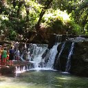 ���� �����, ������������, 49 ��� - ��������� 6 ���� 2018 � ������ ������� 2018, ���- ���� ������