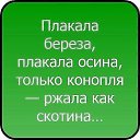 ���� Gohamen, ������ - ��������� 28 ���� 2018 � ������ ���� ����������
