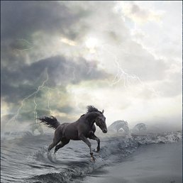 Ogi, �����������