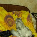 ���� ����, ������, 37 ��� - ��������� 22 ������ 2018