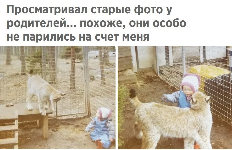 �������� - 14 ������� 2018 � 03:41