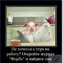 ���� ������, �����-���������, 53 ���� - ��������� 25 ������� 2017 � ������ ������ ��������