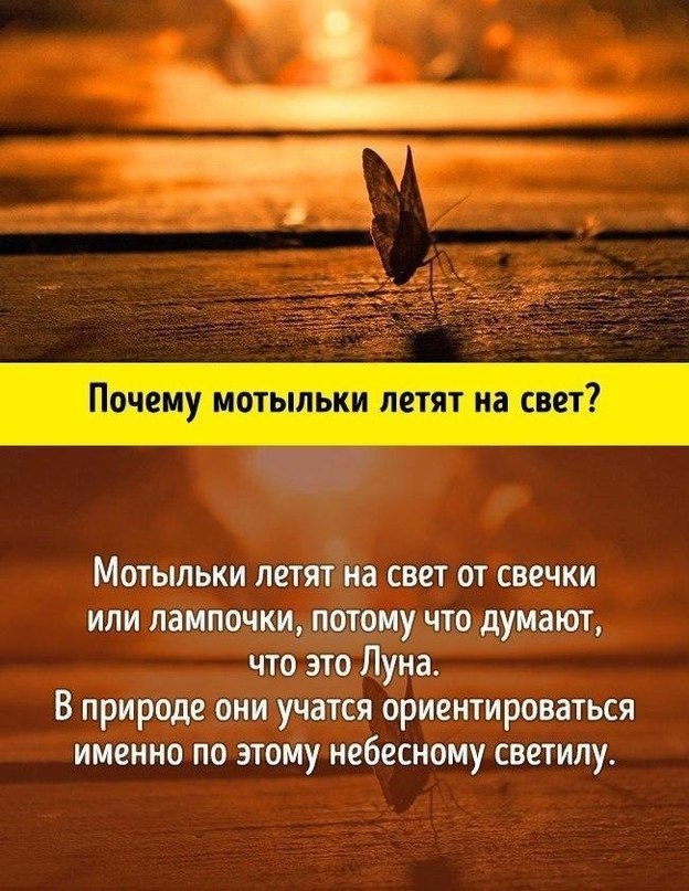 10        - 10