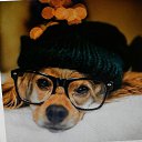 ���� ��������, ������, 56 ��� - ��������� 7 ������ 2018 � ������ ���� ����������