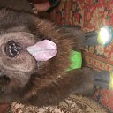 ����� �� ������ �� ����... �� ������� ��������