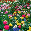 ���� Lia, ������� - ��������� 25 ������ 2018 � ������ ���� ����������