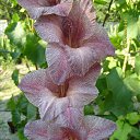 ���� �����, ������ - ��������� 13 ���� 2018 � ������ ���� ���������