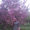 ���� �������, ������� �����, 49 ��� - ��������� 13 ��� 2018 � ������ ���� ����������