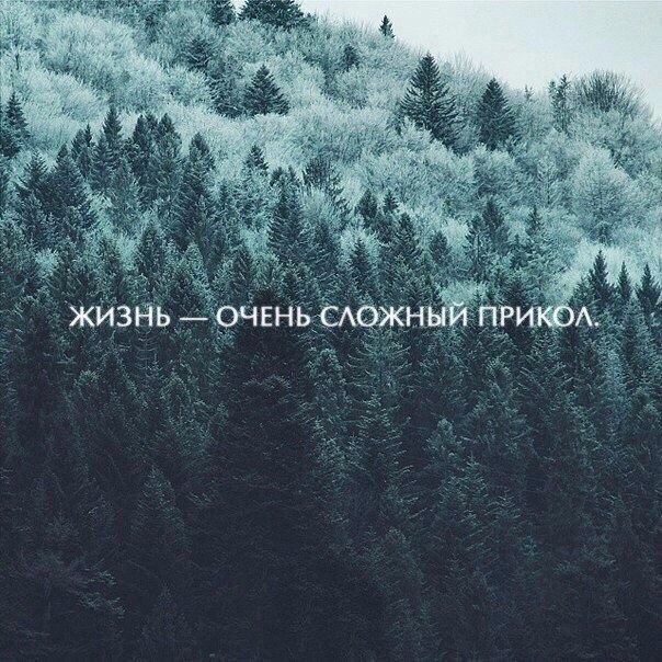 ***Victoria Viktorovna*** - 11  2017  15:53