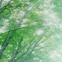 ���� ~Voln@~, ��������� - ��������� 6 ����� 2018 � ������ ���� ����������