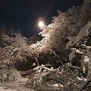 ���� �������, ������, 54 ���� - ��������� 7 ������� 2018 � ������ ������ ��������