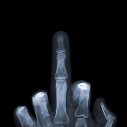 ����, ���������, 41 ���