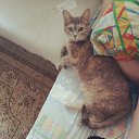 ���� �������, ��������, 55 ��� - ��������� 8 ������� 2018 � ������ ���� ����������