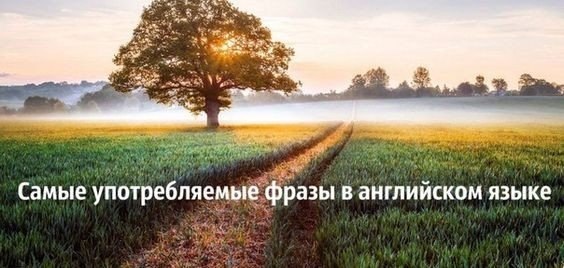 Самые употребляемые английские фразы: A bit. Немного. A few. Несколько. A little. Немного; ...