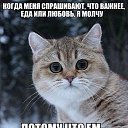 ���� ������, �����-���������, 59 ��� - ��������� 8 ��� 2018 � ������ ������ ��������