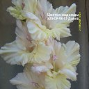 ���� �����, ������ - ��������� 13 ���� 2018 � ������ ���� ���������