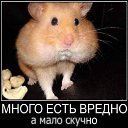 ���� ������, ������������ - ��������� 13 ������� 2018 � ������ ���� ����������