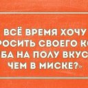  ******, , 53  -  28  2018    