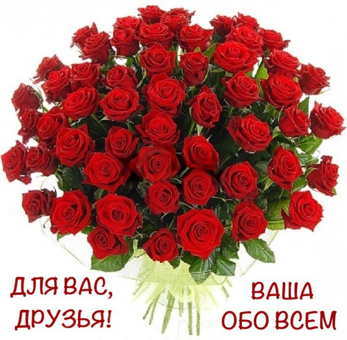   !    , -   ,      ...