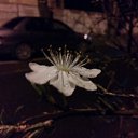 ���� ����, ���� - ��������� 10 ����� 2018 � ������ ������ ��������