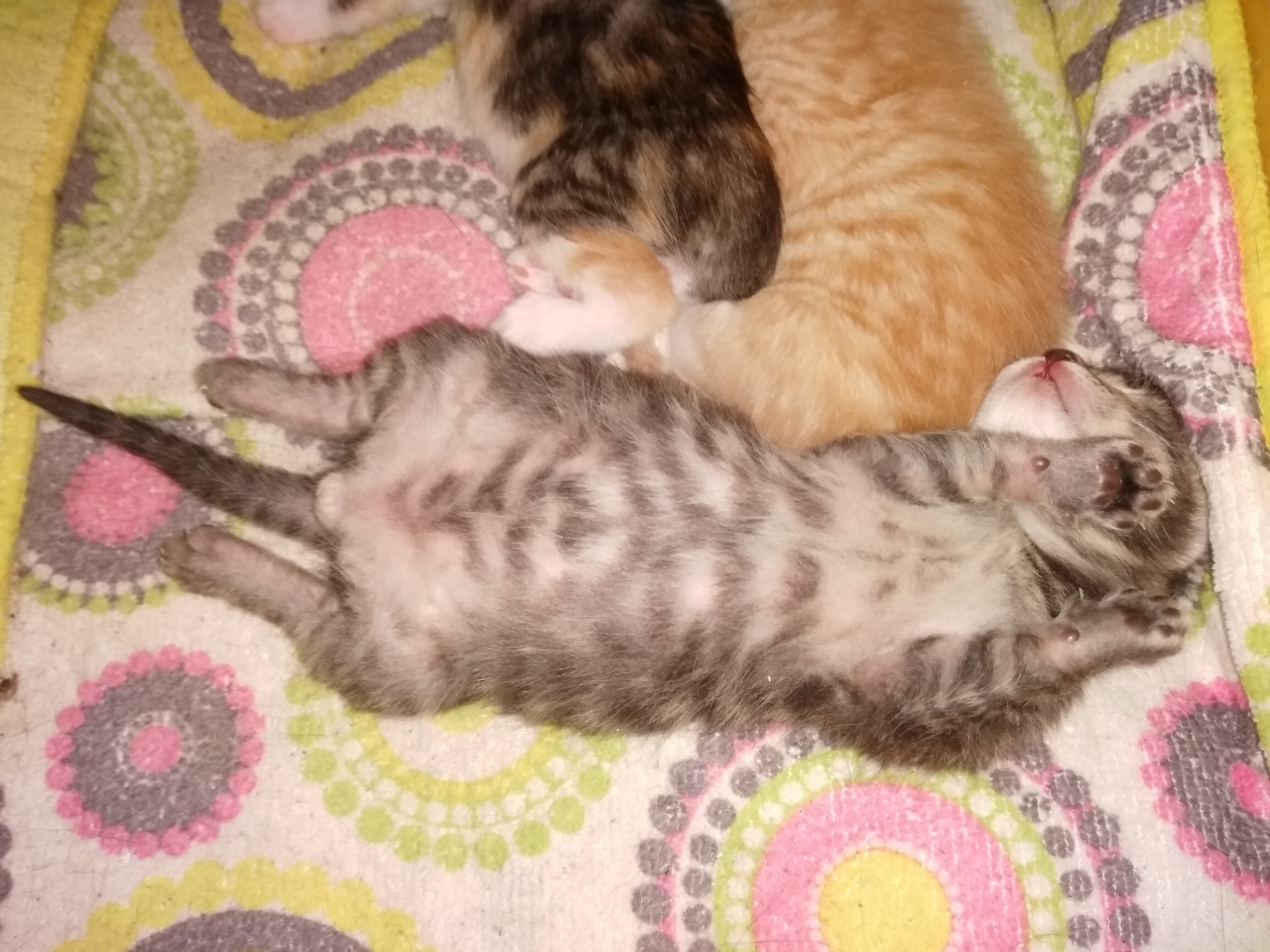 ��������� ��������.. - 2