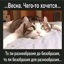 ���� �������, �������� - ��������� 3 ������ 2018