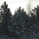 ���� �������������, �����, 53 ���� - ��������� 28 ���� 2018 � ������ ���� ����������