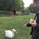 ���� �������, ������, 40 ��� - ��������� 11 ��� 2018 � ������ ���� ����������