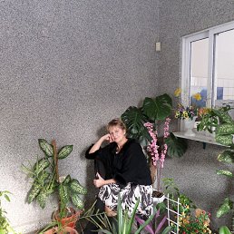 ���� ������, ������-��-����, 67 ��� - ��������� 6 ������ 2018