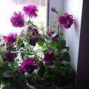 ���� ����, ��������� - ��������� 10 ��� 2018 � ������ ���� ����������