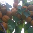 ���� ����, �������, 49 ��� - ��������� 4 ������ 2018 � ������ ���� ����������