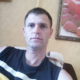 ����, 41 ���, ����
