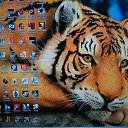 ���� ������, ������ - ��������� 10 ���� 2018 � ������ ������ ��������